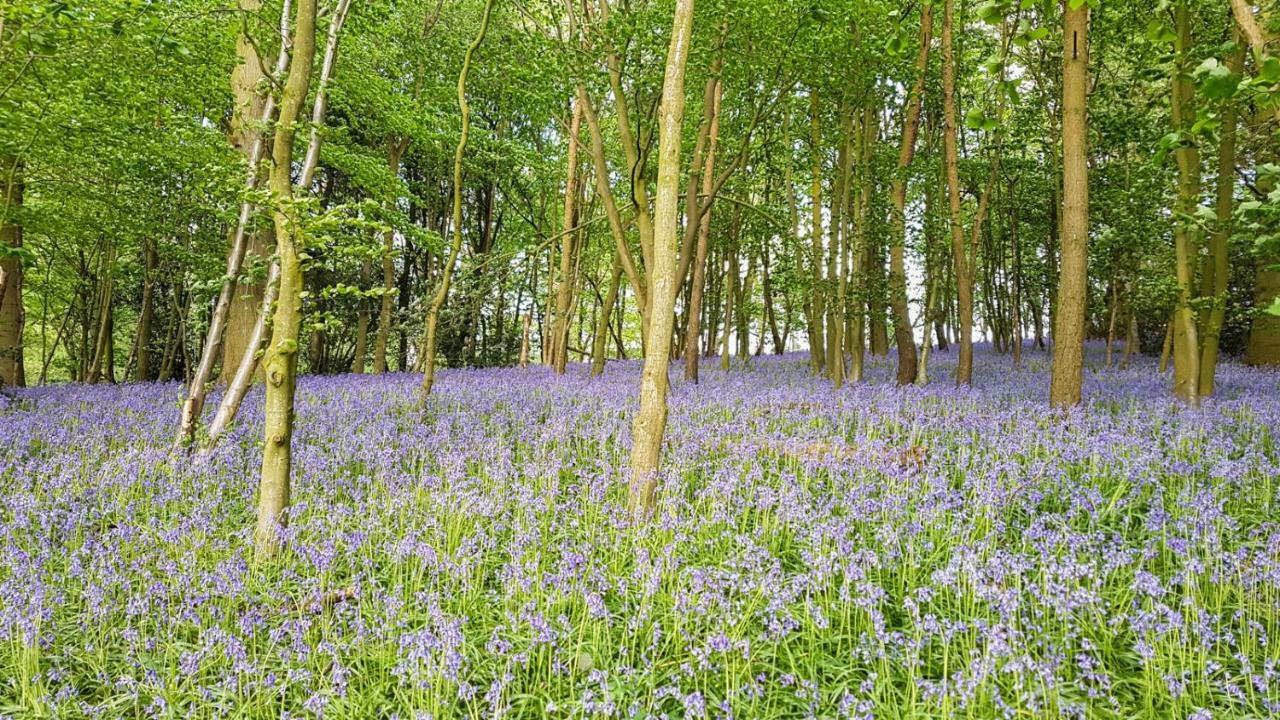 High Oaks Grange - Glamping Hotel Pickering Kültér fotó